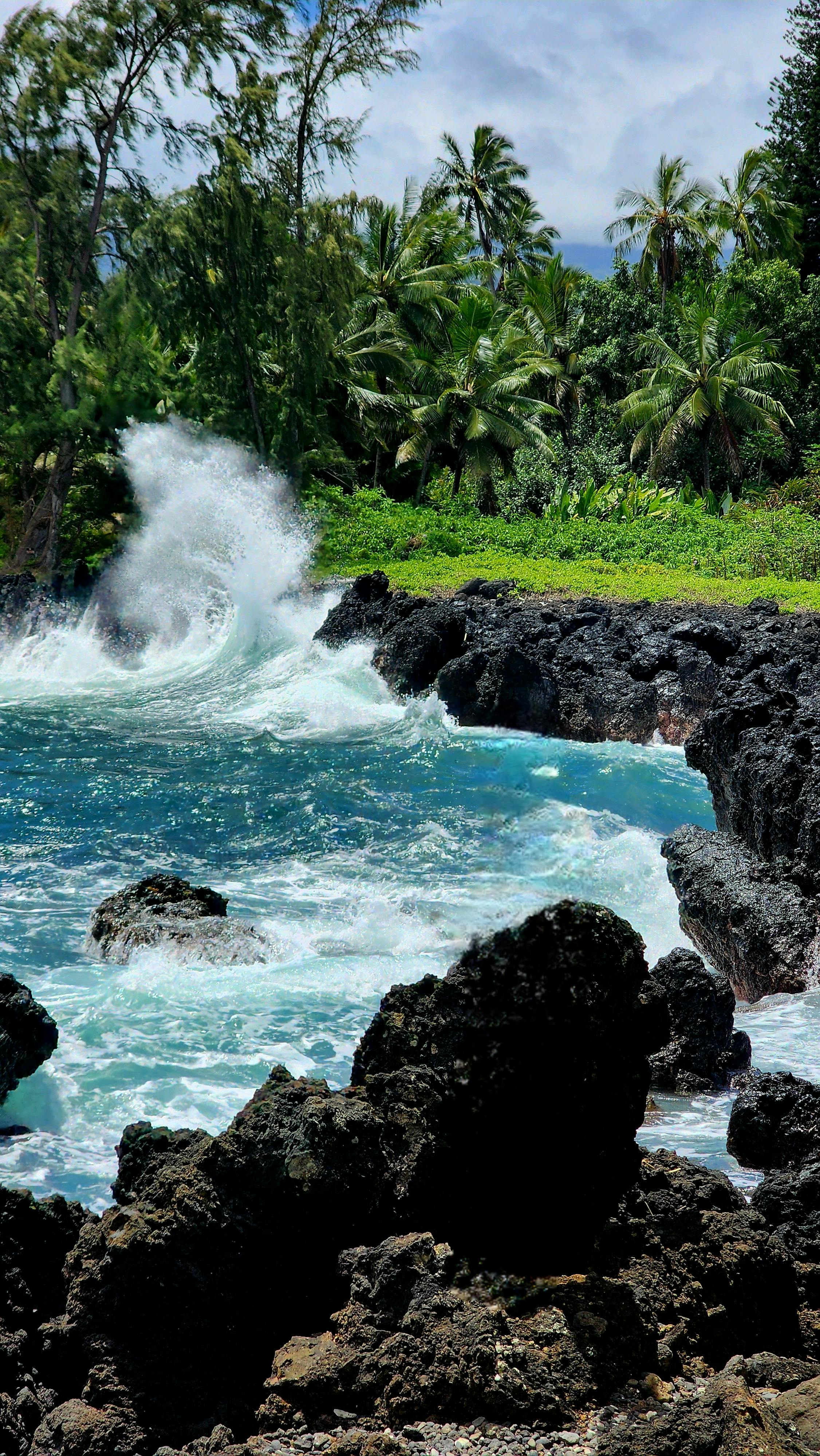 Hawaii SEO company network of 370 plus domains