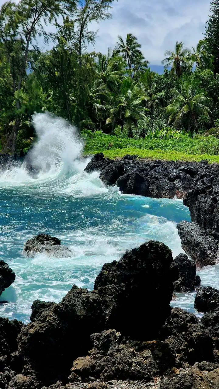Hawaii SEO company network of 580 plus domains